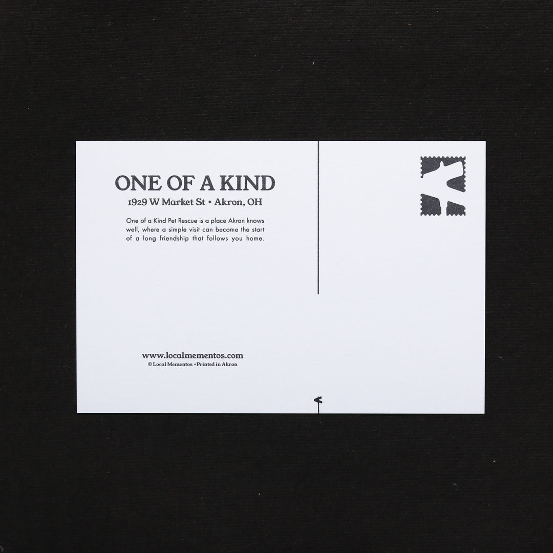 One of a Kind Pet Rescue Postcard