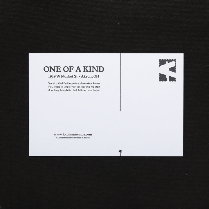 One of a Kind Pet Rescue Postcard